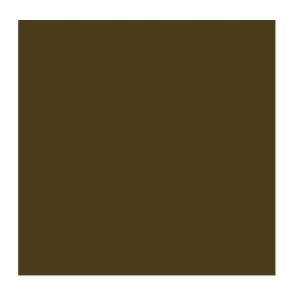 Farba olejna - Rembrandt - Raw Umber, 40 ml