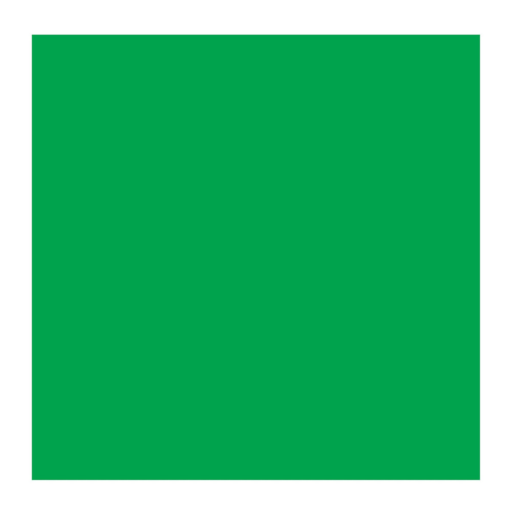 Oil paint in tube - Rembrandt - Permanent Green Medium, 40 ml