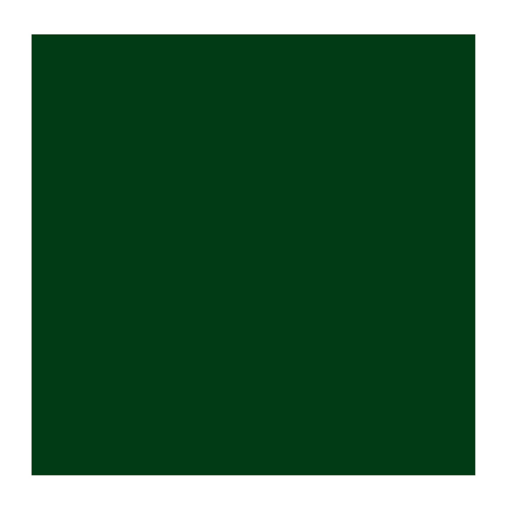 Oil paint in tube - Rembrandt - Green Earth, 40 ml