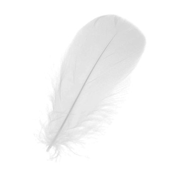 Piórka dekoracyjne, ozdobne - białe, 12 cm, 50 szt.