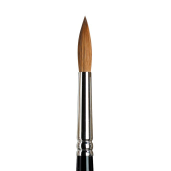 Kolinsky Sable brush, round, series 7 - Winsor & Newton - short handle, no. 8