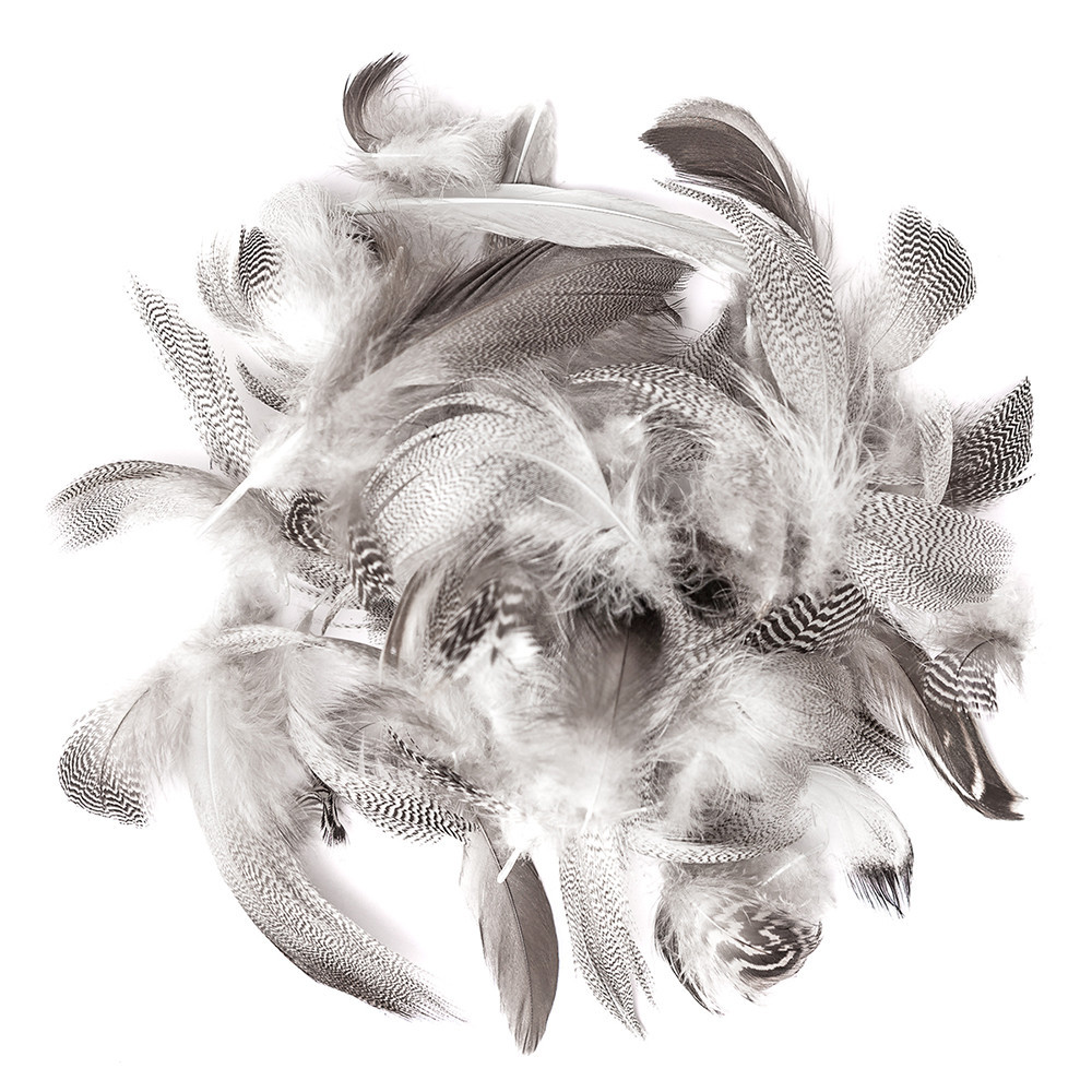 Decorative duck feathers - DpCraft - natural, 5 g