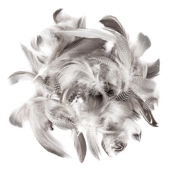 Decorative duck feathers - DpCraft - natural, 5 g