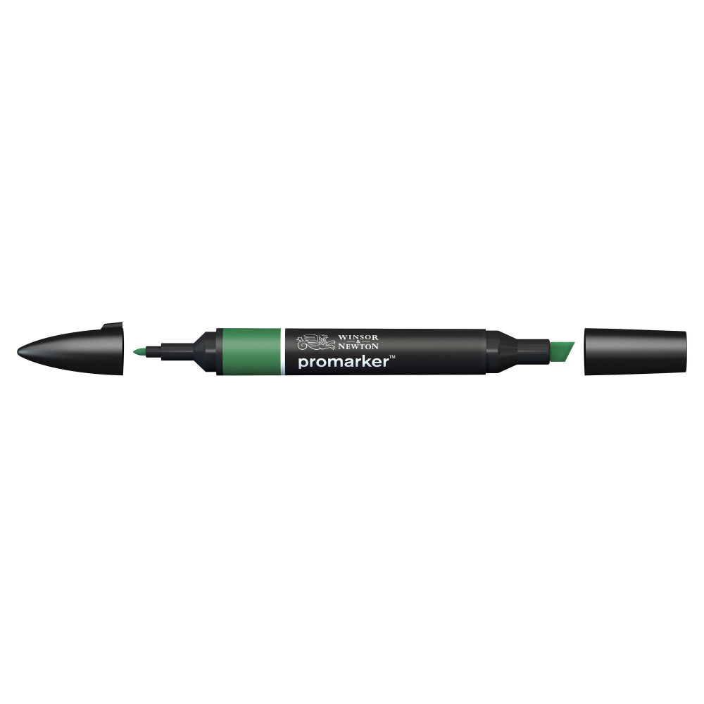 Promarker - Winsor & Newton - Pine