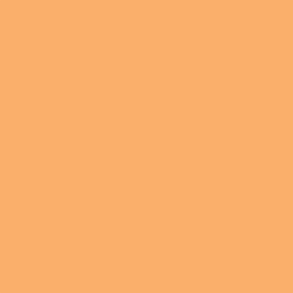 Promarker - Winsor & Newton - Apricot