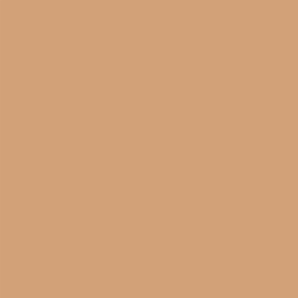 Promarker - Winsor & Newton - Cinnamon