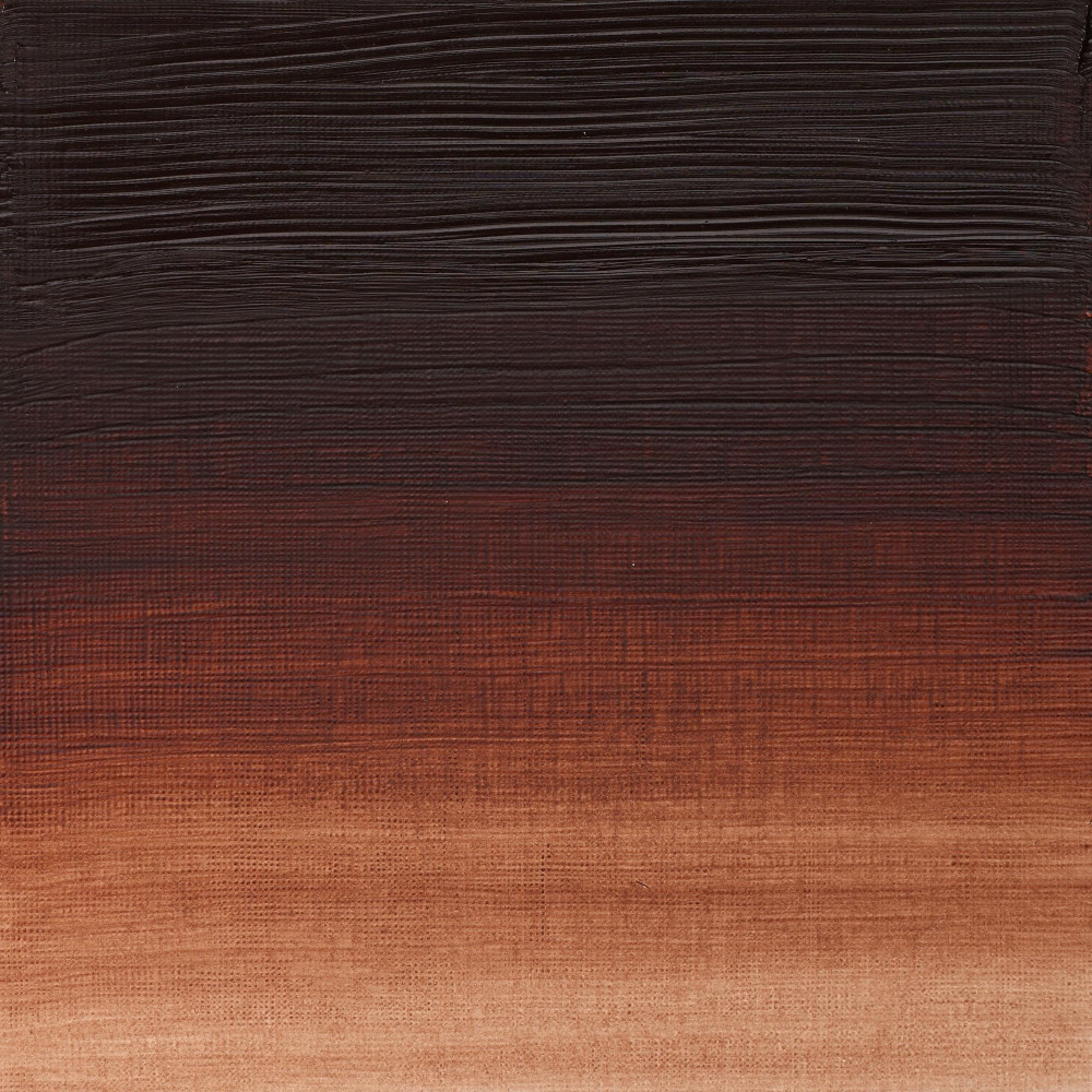 Oil paint Artists' Oil Colour - Winsor & Newton - Brown Madder, 37 ml