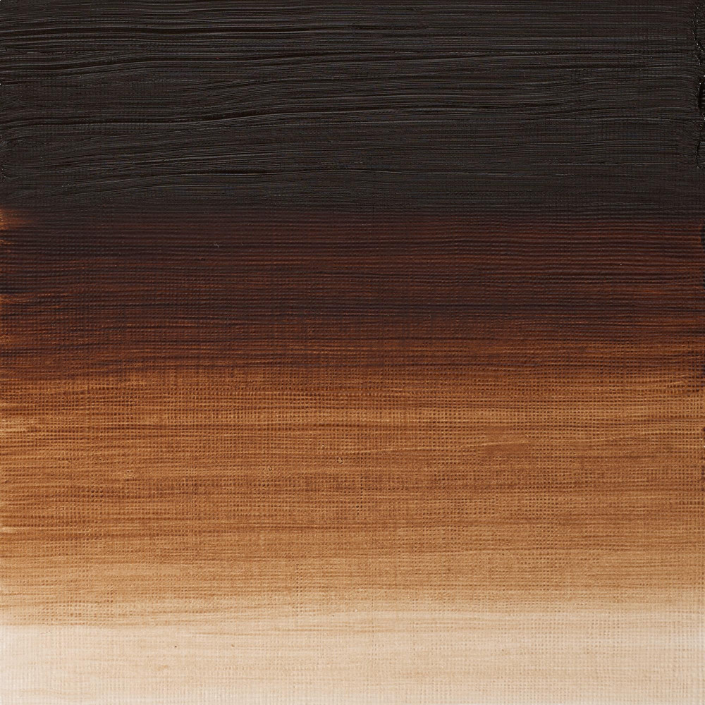 Oil paint Artists' Oil Colour - Winsor & Newton - Burnt Umber, 37 ml