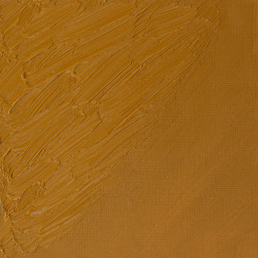 Oil paint Artists' Oil Colour - Winsor & Newton - Gold Ochre, 37 ml
