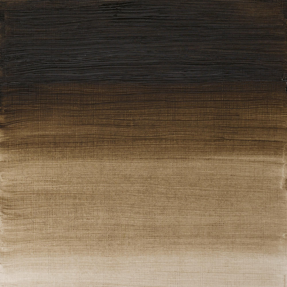 Oil paint Artists' Oil Colour - Winsor & Newton - Raw Umber Green Shade, 37 ml