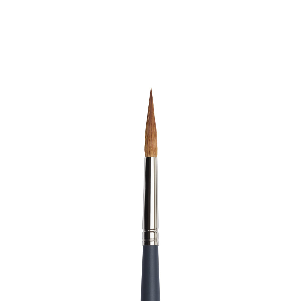 Professional Watercolor Synthetic Sable brush, pointed round - Winsor & Newton - no. 8