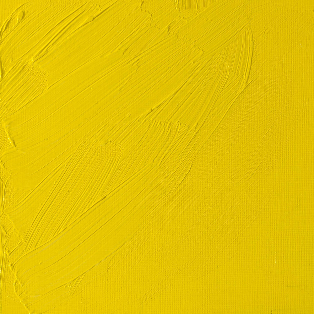 Oil paint Artists' Oil Colour - Winsor & Newton - Cadmium Lemon, 37 ml