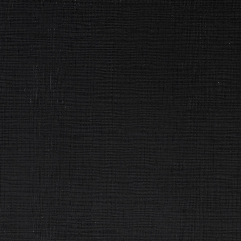 Farba akrylowa Professional Acrylic - Winsor & Newton - Ivory Black, 60 ml