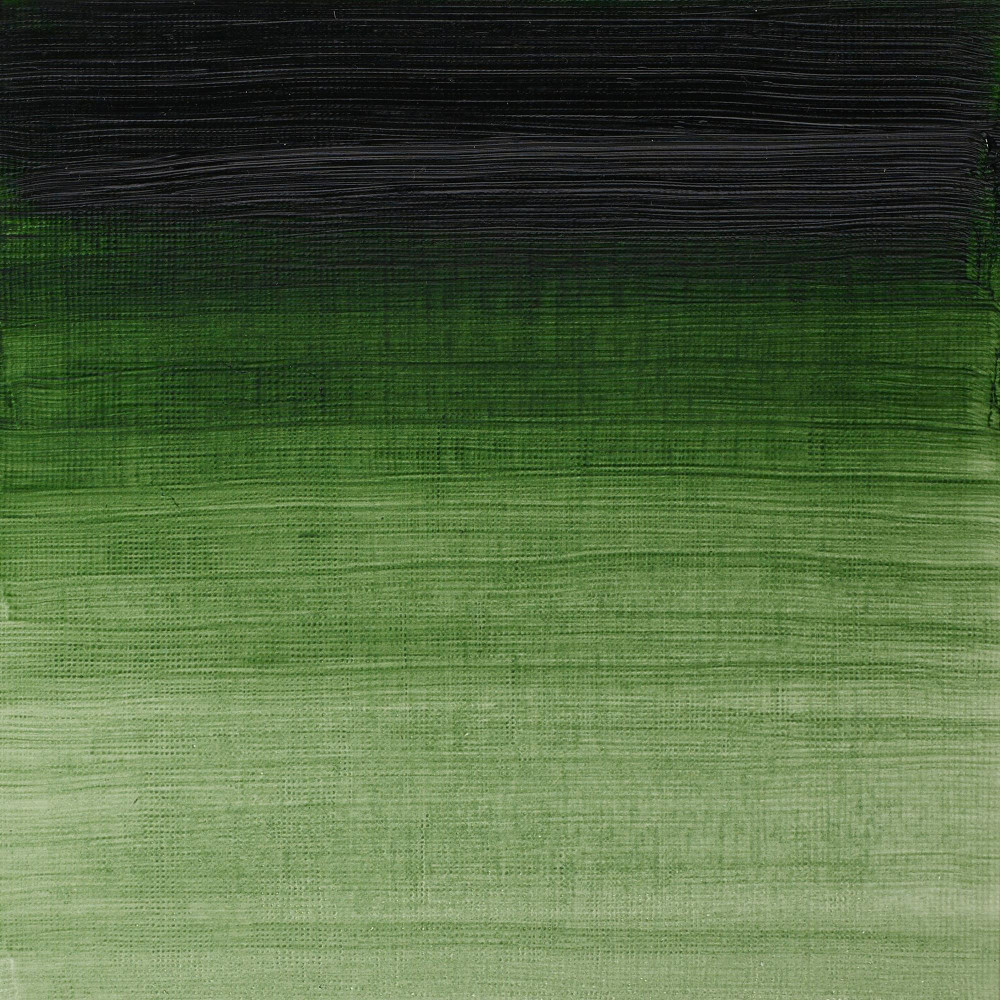 Oil paint Artists' Oil Colour - Winsor & Newton - Prussian Green, 37 ml