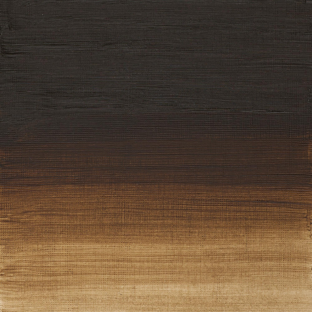 Oil paint Artists' Oil Colour - Winsor & Newton - Raw Umber, 37 ml