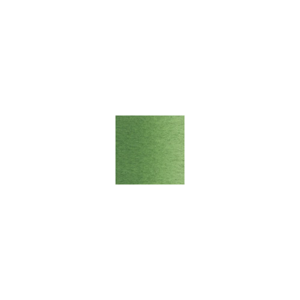 Artists' Watercolor paint - Holbein - Terre Verte, 5 ml
