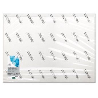 Paper for watercolors - Winsor & Newton - cold press, 56 x 76 cm, 300g, 10 sheets