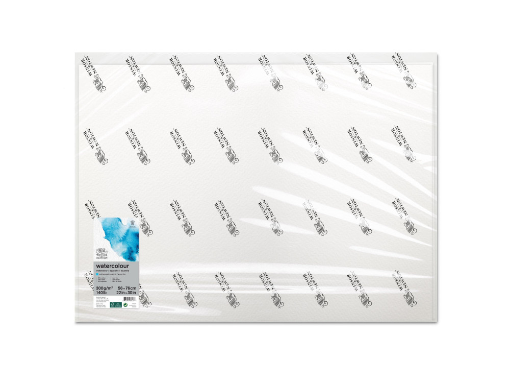 Papier do akwareli - Winsor & Newton - cold press, 56 x 76 cm, 300g, 10 ark.