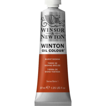 Oil paint Winton Oil Colour - Winsor & Newton - Burnt Sienna, 37 ml