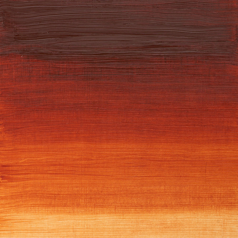 Oil paint Winton Oil Colour - Winsor & Newton - Burnt Sienna, 37 ml
