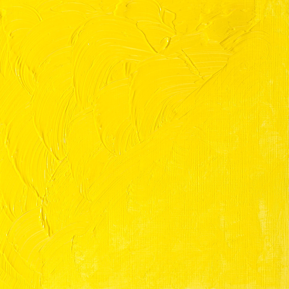 Oil paint Winton Oil Colour - Winsor & Newton - Cadmium Lemon Hue, 37 ml