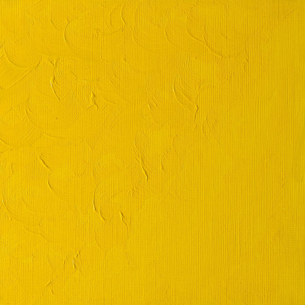 Oil paint Winton Oil Colour - Winsor & Newton - Cadmium Yellow Pale, 37 ml