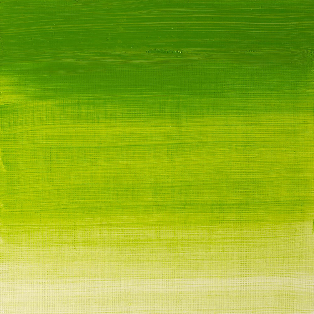 Farba olejna Winton Oil Colour - Winsor & Newton - Chrome Green, 37 ml