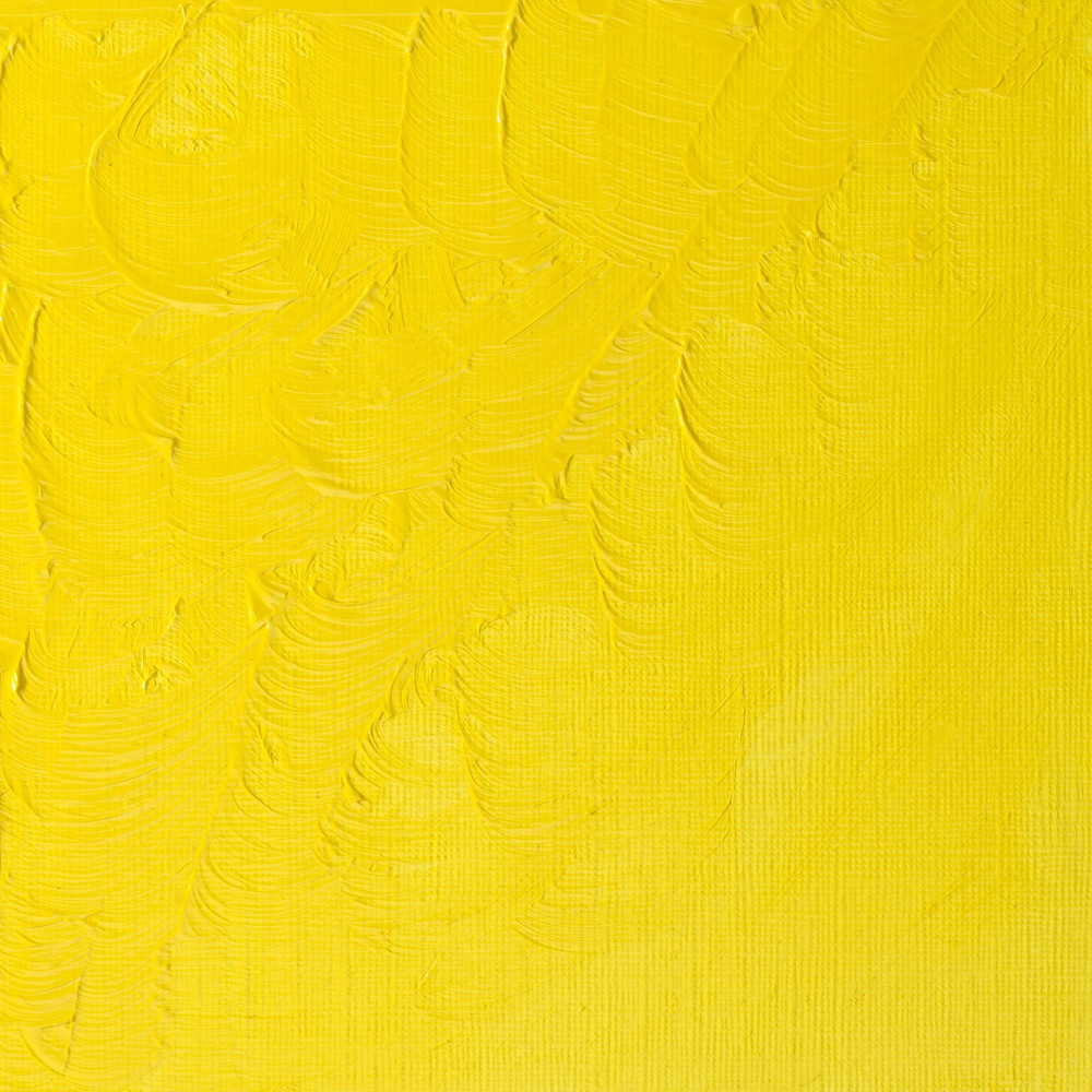 Oil paint Winton Oil Colour - Winsor & Newton - Lemon Yellow, 37 ml