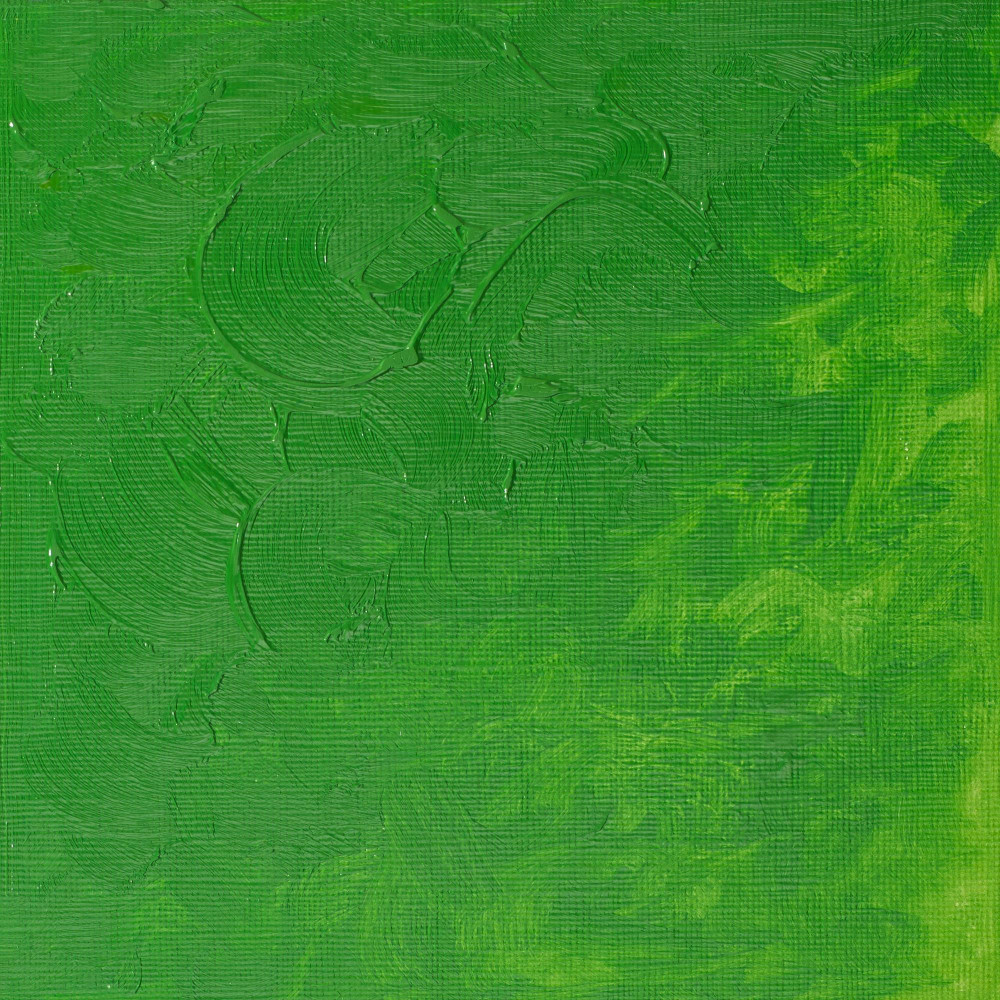 Farba olejna Winton Oil Colour - Winsor & Newton - Permanent Green Light, 37 ml