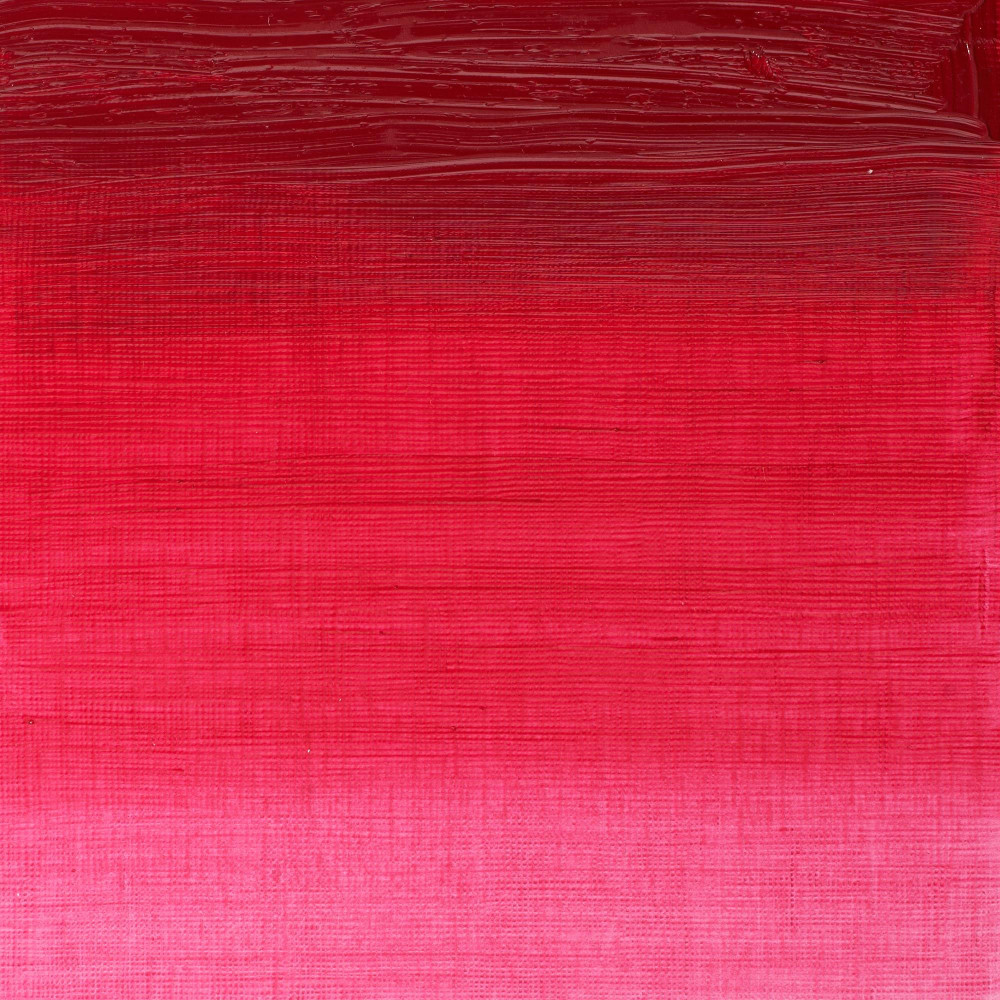 Oil paint Winton Oil Colour - Winsor & Newton - Permanent Rose, 37 ml