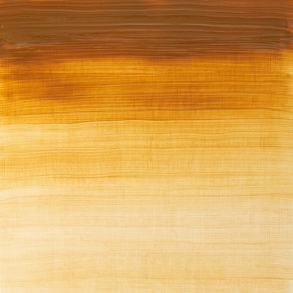 Oil paint Winton Oil Colour - Winsor & Newton - Raw Sienna, 37 ml