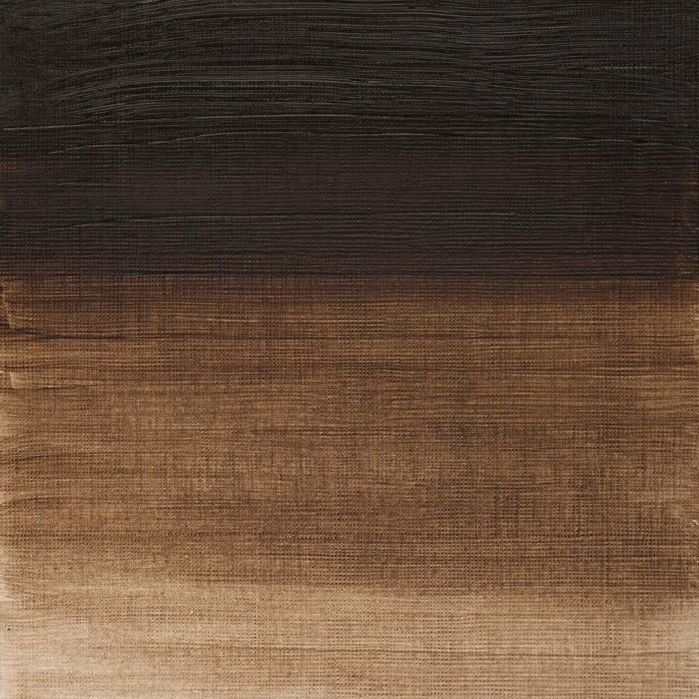 Farba olejna Winton Oil Colour - Winsor & Newton - Raw Umber, 37 ml