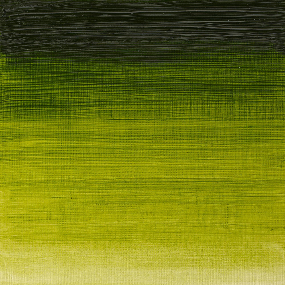 Oil paint Winton Oil Colour - Winsor & Newton - Sap Green, 37 ml