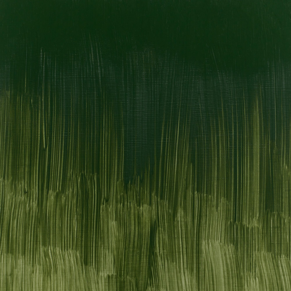 Farba olejna Winton Oil Colour - Winsor & Newton - Dark Verdigris, 37 ml