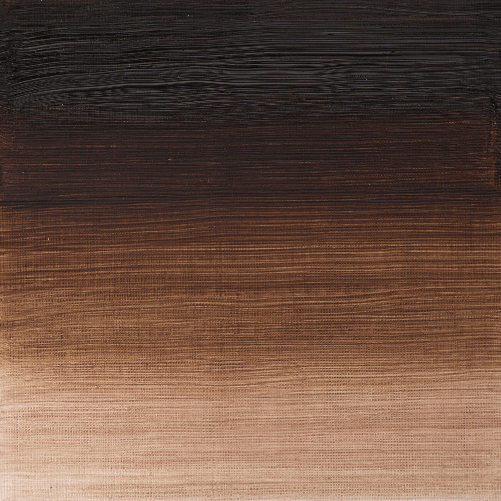 Oil paint Winton Oil Colour - Winsor & Newton - Vandyke Brown, 37 ml
