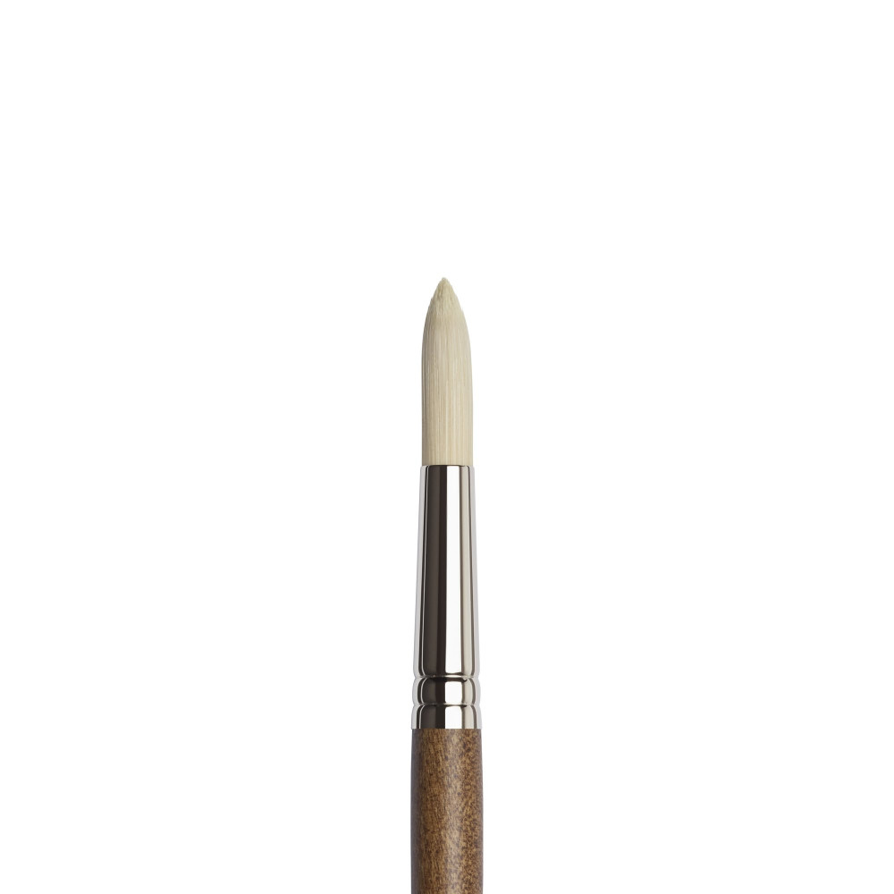 Artists' Oil synthetic brush, round - Winsor & Newton - no. 12