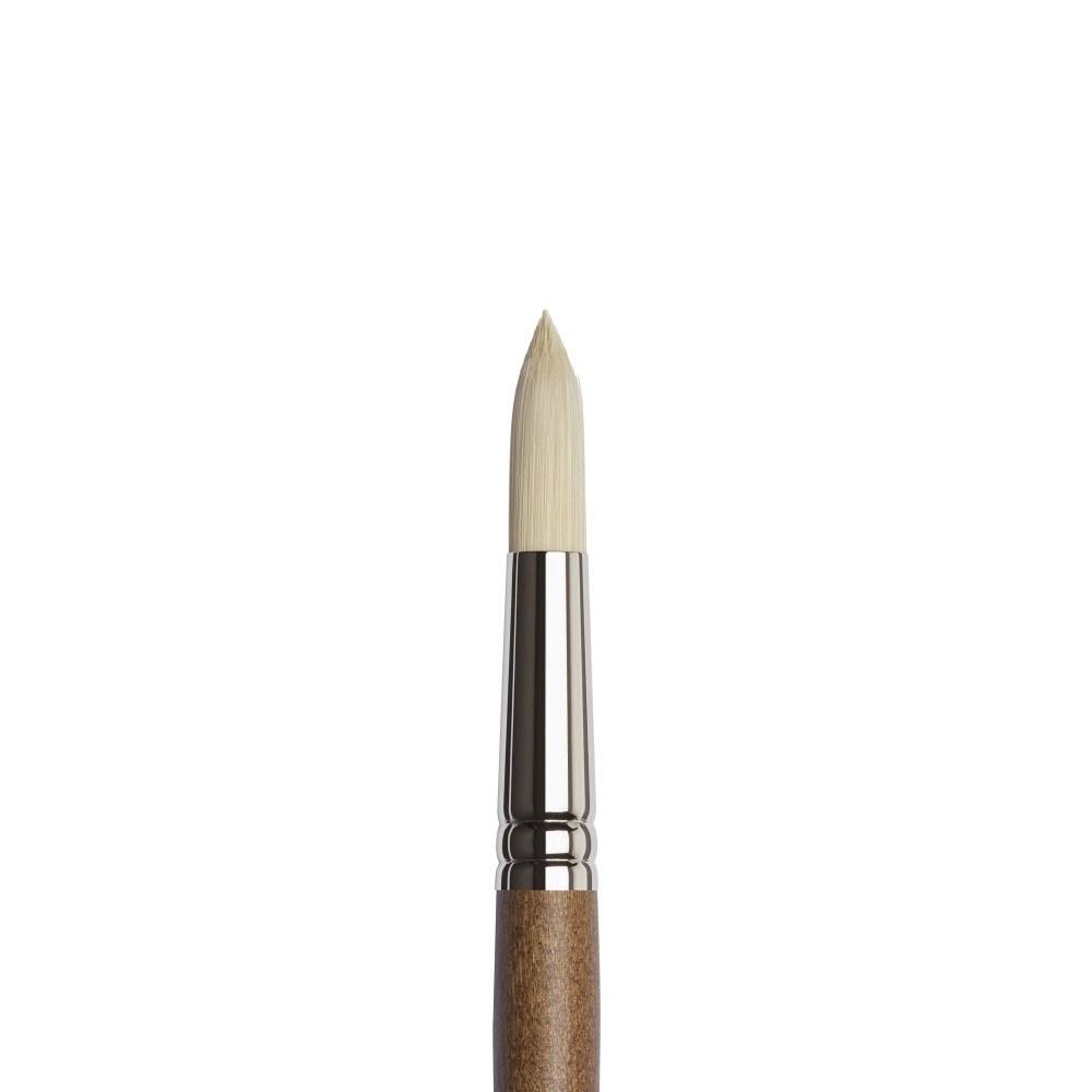 Artists' Oil synthetic brush, round - Winsor & Newton - no. 16