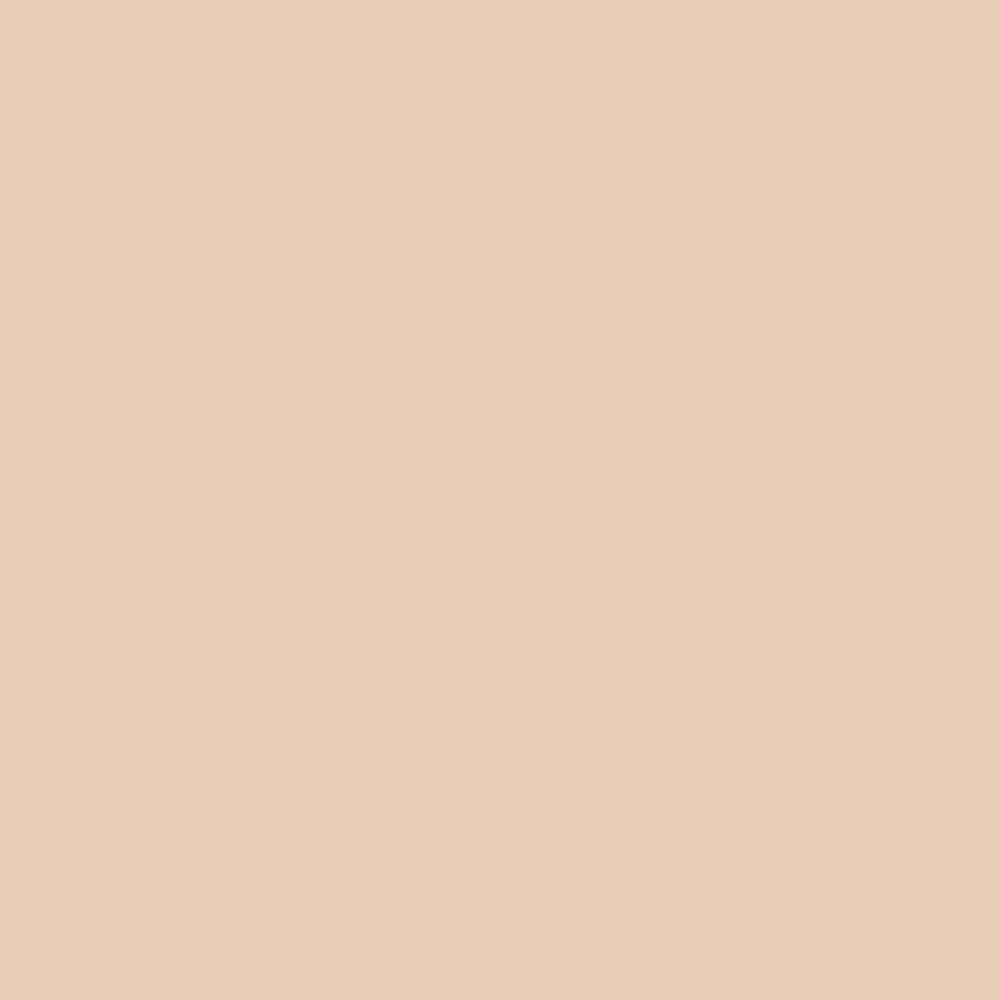 Promarker - Winsor & Newton - Pale Cream