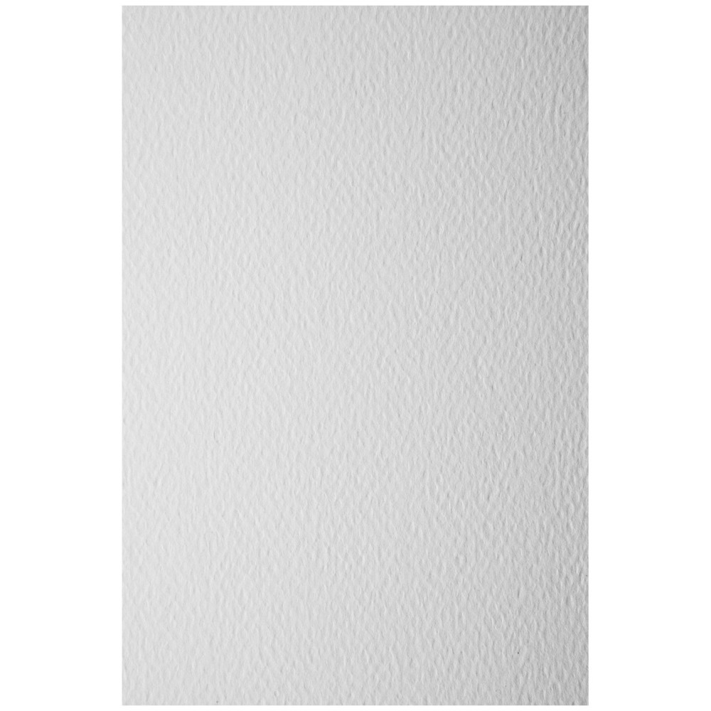 Papier dla plastyków Prisma - Favini - Bianco, A4, 250 g, 20 ark.