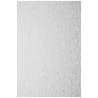 Papier dla plastyków Prisma - Favini - Bianco, A4, 250 g, 20 ark.