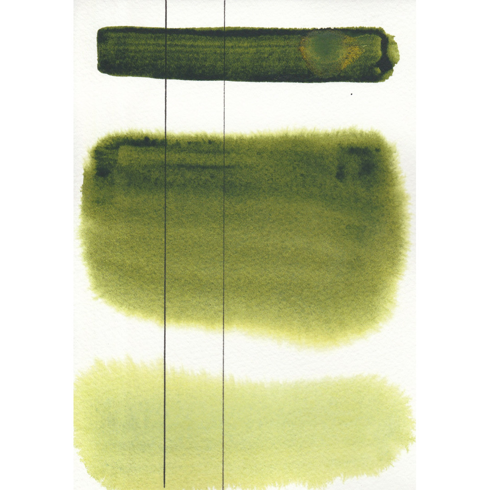 Aquarius watercolor paint - Roman Szmal - 342, Hooker's Green, pan