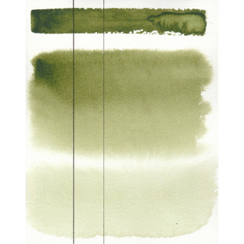 Aquarius watercolor paint - Roman Szmal - 252, Sap Green Light, pan
