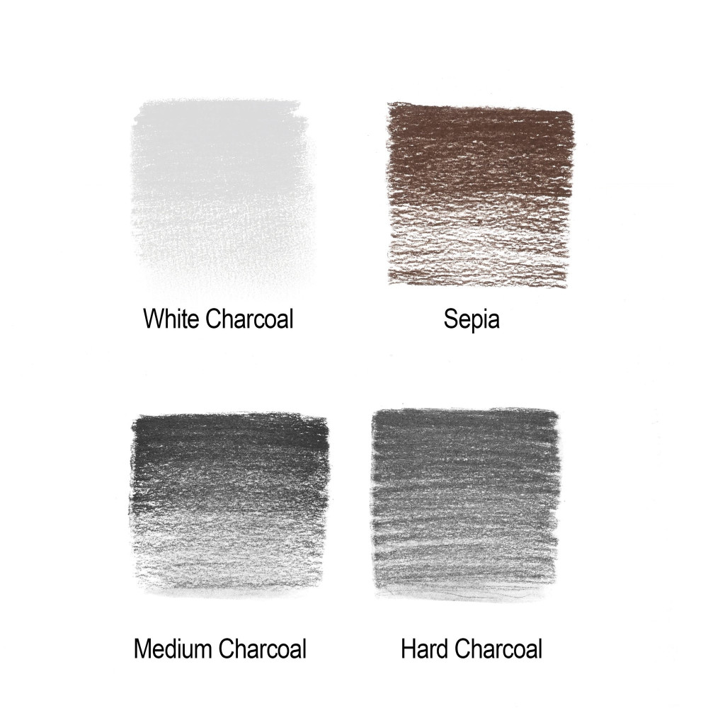 Zestaw węgli w ołówku Studio Collection z gumką - Winsor & Newton - 5 szt.