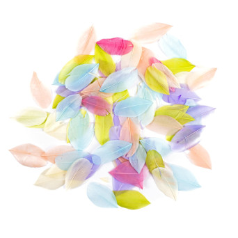 Pióra gęsie - DpCraft - pastelowe, 6 cm, 5 g