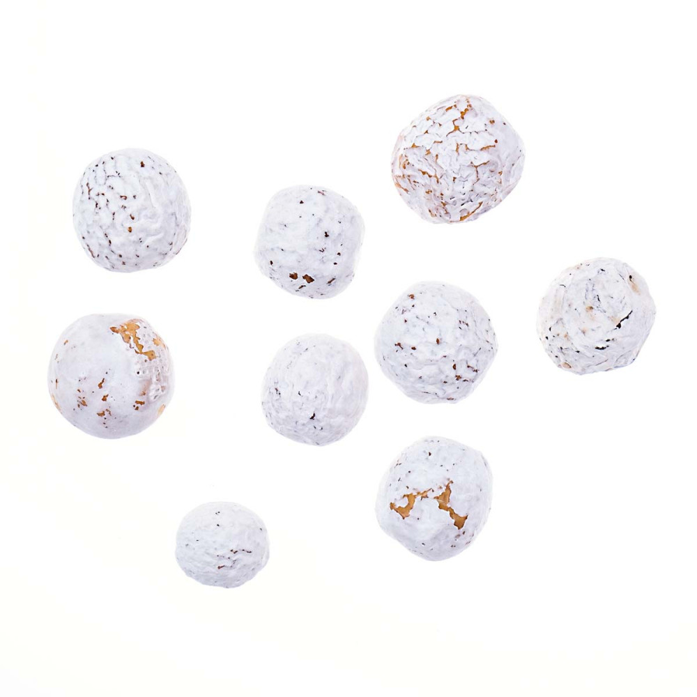 Dried fruits of Melia Azedarach - DpCraft - whitened, 9 pcs