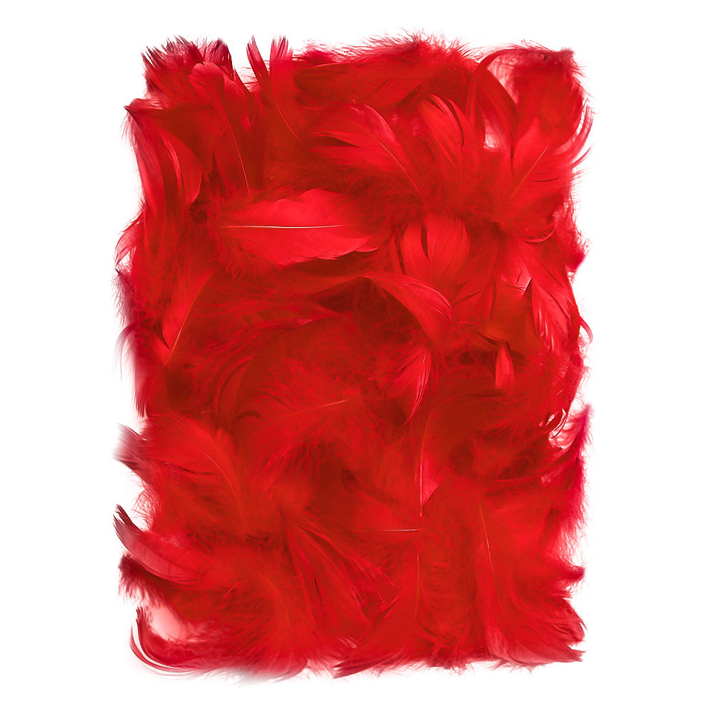 Piórka dekoracyjne - DpCraft - czerwone, 10 g