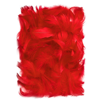 Piórka dekoracyjne - DpCraft - czerwone, 10 g