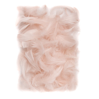 Piórka dekoracyjne - DpCraft - nude, 10 g