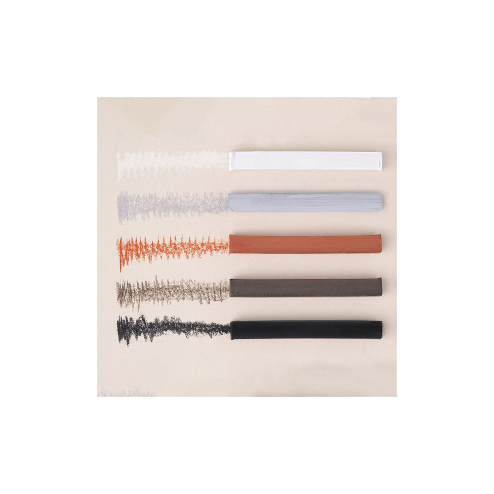Charcoal for artists - Renesans - 5 colors, 10 pcs