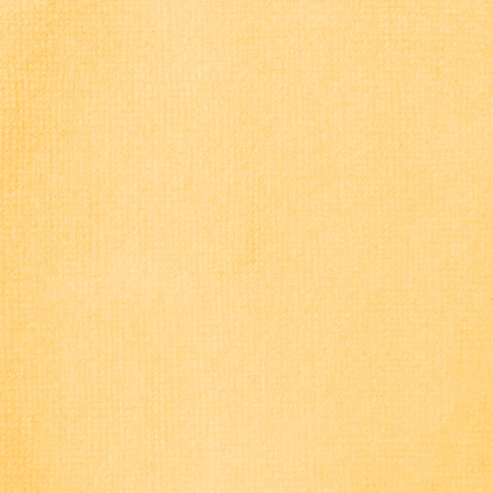 Professional Acrylic ink - Liquitex - Yellow Oxide, 30 ml